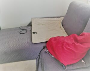 Canapé avant traitement punaises de lit